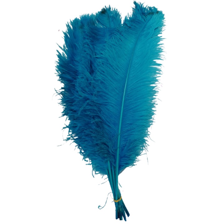 Set 3 pene de struti 60 cm lungime culoare turcuaz 20-25 cm latime
