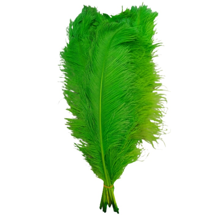 Set 3 pene de struti 60 cm lungime culoare verde 20-25 cm latime