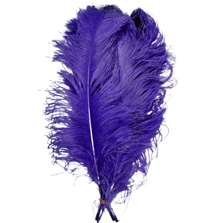 Set 3 pene de struti 60 cm lungime culoare mov 20-25 cm latime