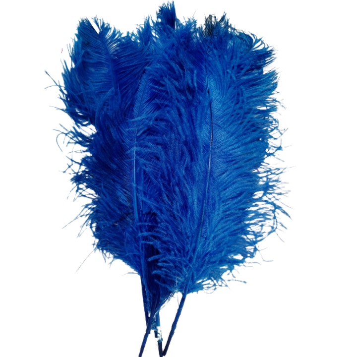 Set 3 pene de struti 60 cm lungime culoare albastru 20-25 cm latime