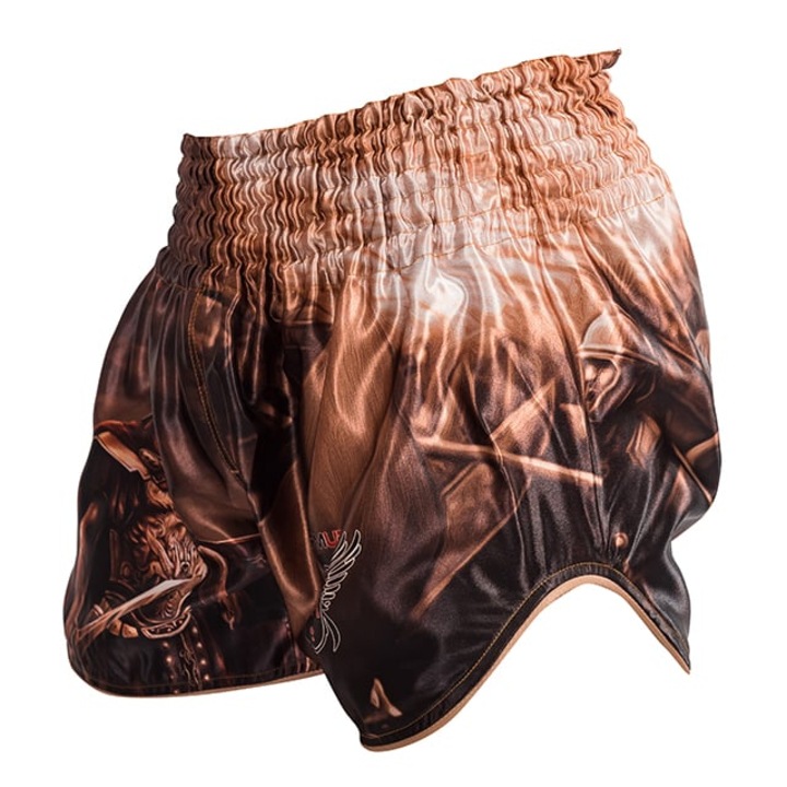 Short kickboxing ARMURA Praetorian, Multicolor, Multicolor