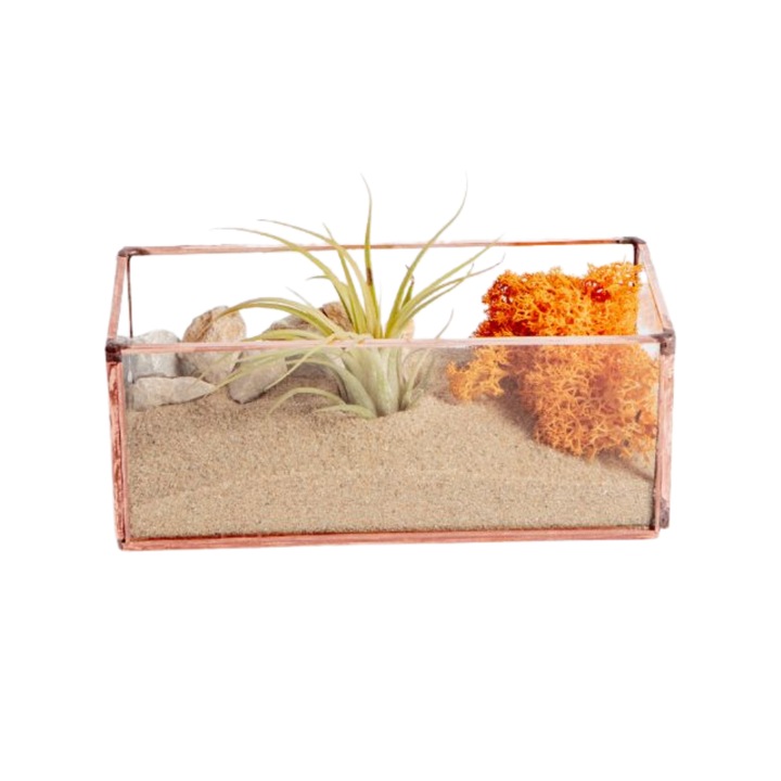 Terariu cu planta aeriana Greenarium, jardiniera geometrica mica, muchii cupru, 15cm x 7cm x 6cm