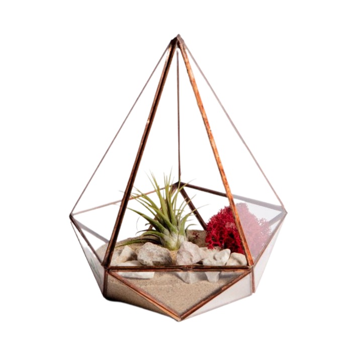 Terariu cu planta aeriana Greenarium, diamant geometric mic, muchii cupru, 15cm x 11cm x 12cm