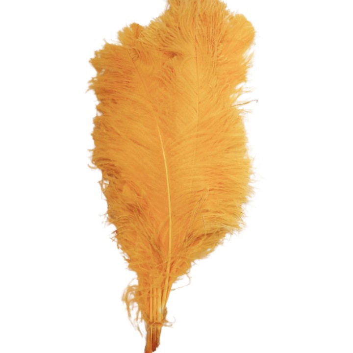 Set 3 pene de strut 60 cm lungime, culoare galben, 20-25 cm latime