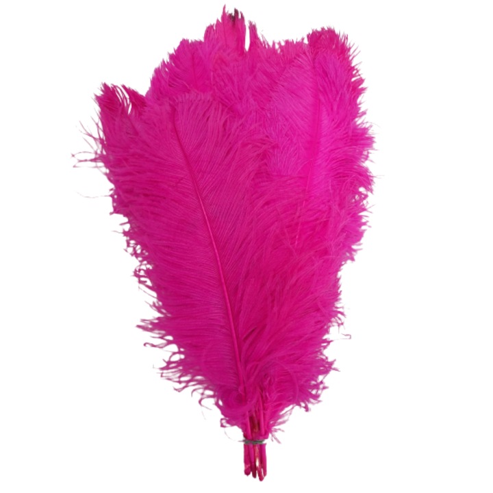 Set 3 pene de strut 50 cm lungime, culoare fucsia, 20-25 cm latime