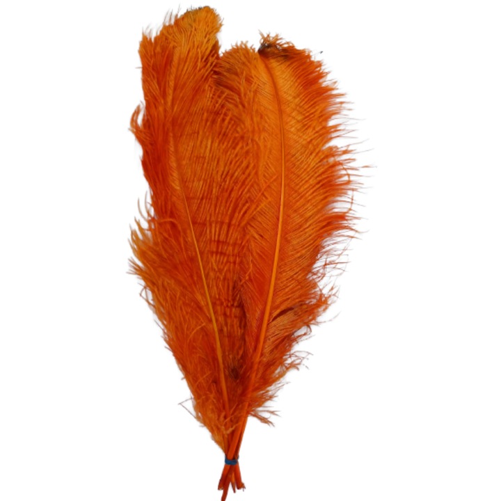 Set 3 pene de strut 50 cm lungime, culoare portocaliu,20-25 cm latime