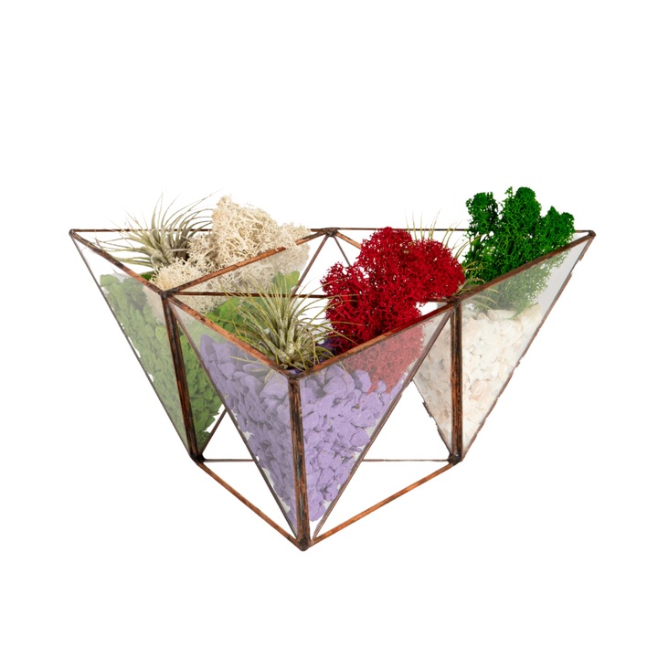 Terariu cu plante aeriene Greenarium, tri-piramida mica, muchii cupru, 8 x 16 x 18cm