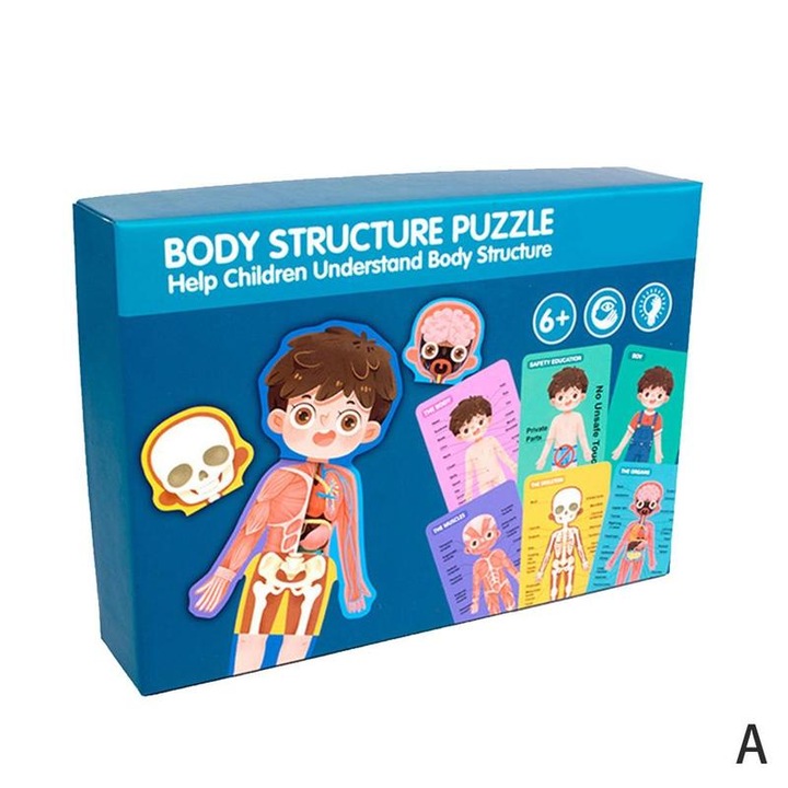 Unan body structure emberi test puzzle, oktatójáték, 30 db, fiúk, + 3 év