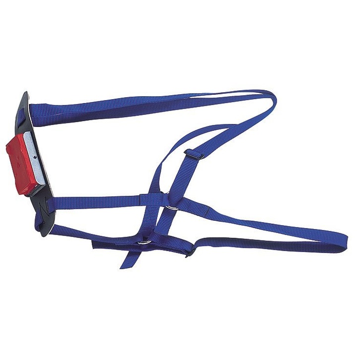 Ham pentru berbec, Nylon, Albastru