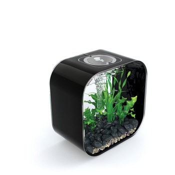 Set complet acvariu BiOrb LIFE 30 (cu sistem de iluminare MCR si cadru negru) si ornamente Set complet acvariu BiOrb LIFE 30 (cu sistem de iluminare MCR si cadru negru) si ornamente