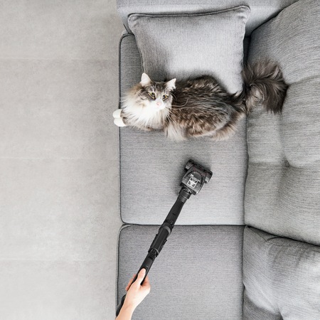 Aspirator cu sac Rowenta Power XXL RO3186EA, 4.5 L, 450 W, 3 trepte de filtrare, sac Hygiene+, lungime cablu 8.4m, recipient praf 4.5L, perie EasyBrush, Rosu/ gri