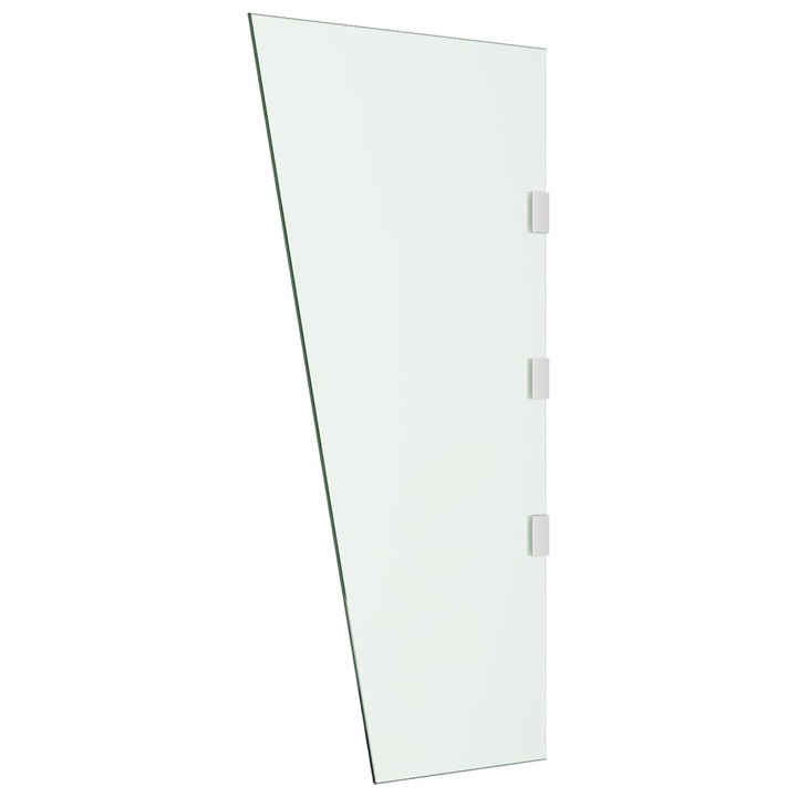 Страничен панел за навес за врата vidaXL, Прозрачен, 50x100 см, Стъкло