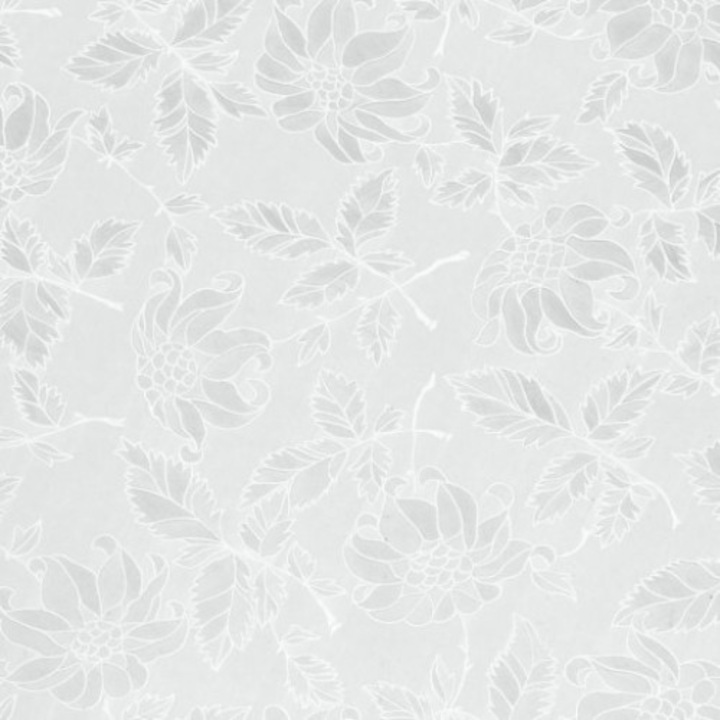 Ólomüveg matrica, leveles, átlátszó, 0,677 mx 1m