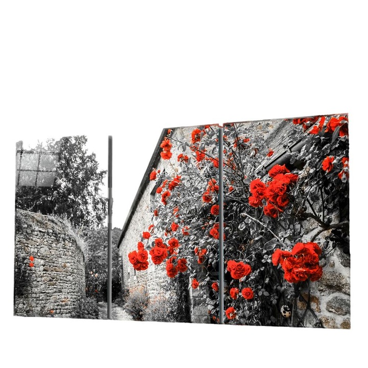 Set 3 tablouri, Print digital, Model- Flori rosii, 110x70cm