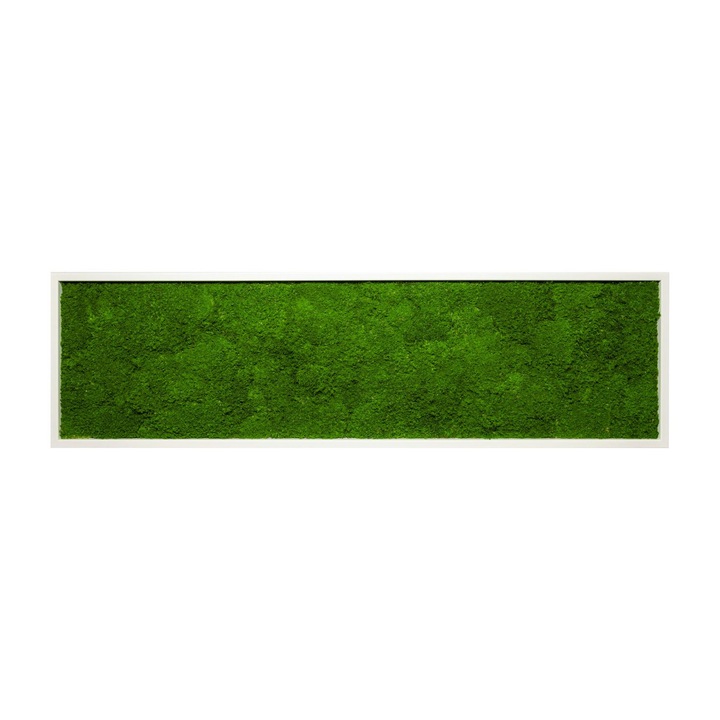 Tablou 3D, Moos-Design, FLA-140x40W, Natura, Landscape, 140x40 cm