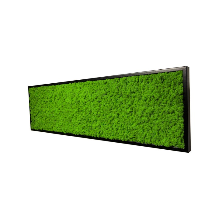 Tablou 3D, Moos-Design, ISL-100x35S, Natura, Landscape, 100x35 cm