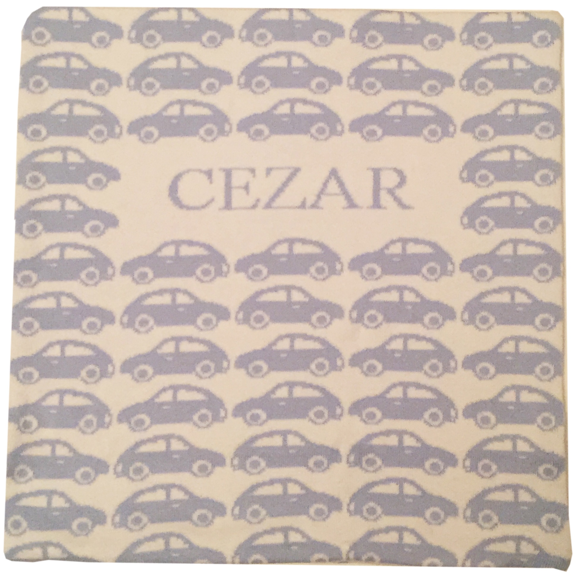 Fata de perna pesonalizata Cezar, bleu, 40 x 40 cm din bumbac organic
