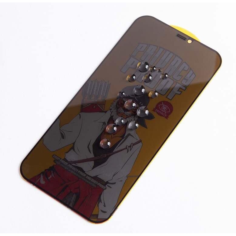 Folie sticla Privacy, pentru iPhone 13/ 13 Pro