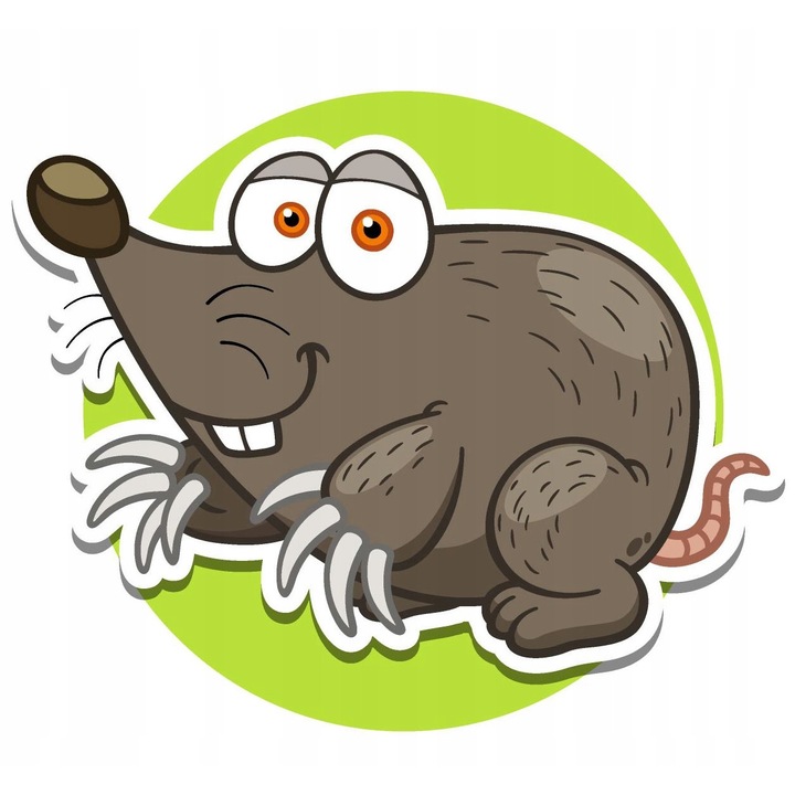 Set de broderie cu diamante 5d, Model cartita, 25x25 cm, Multicolor