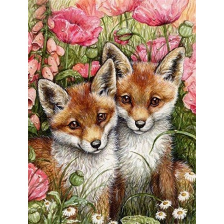 Set de broderie cu diamante 5d, 40x50 cm, Multicolor