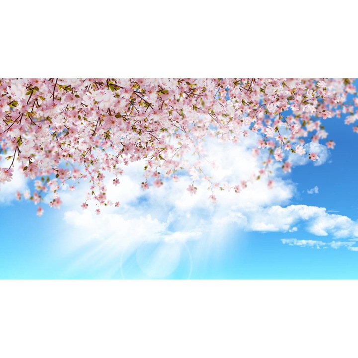 PVC öntapadós tapéta - Színes Virágok Szentivánkor, 100 x 150 cm