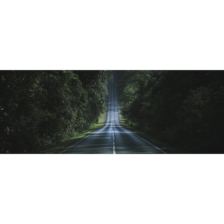 PVC öntapadós tapéta - Út az erdőn át, 100 x 150 cm