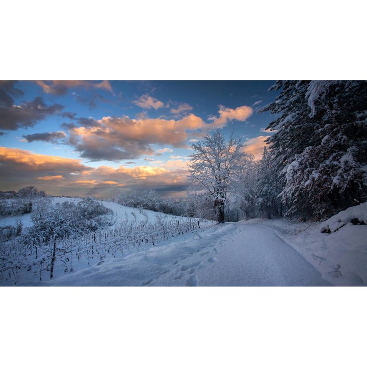 PVC öntapadó tapéta - Havas út és színes égbolt, 100 x 150 cm
