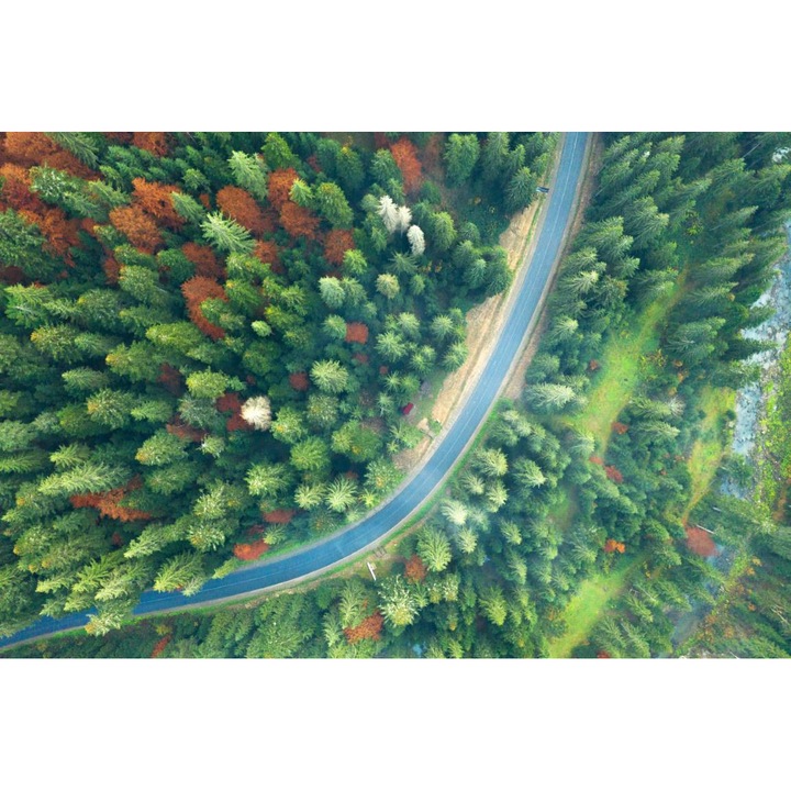 Öntapadó PVC tapéta - The Road Between Green Trees, 100 x 150 cm