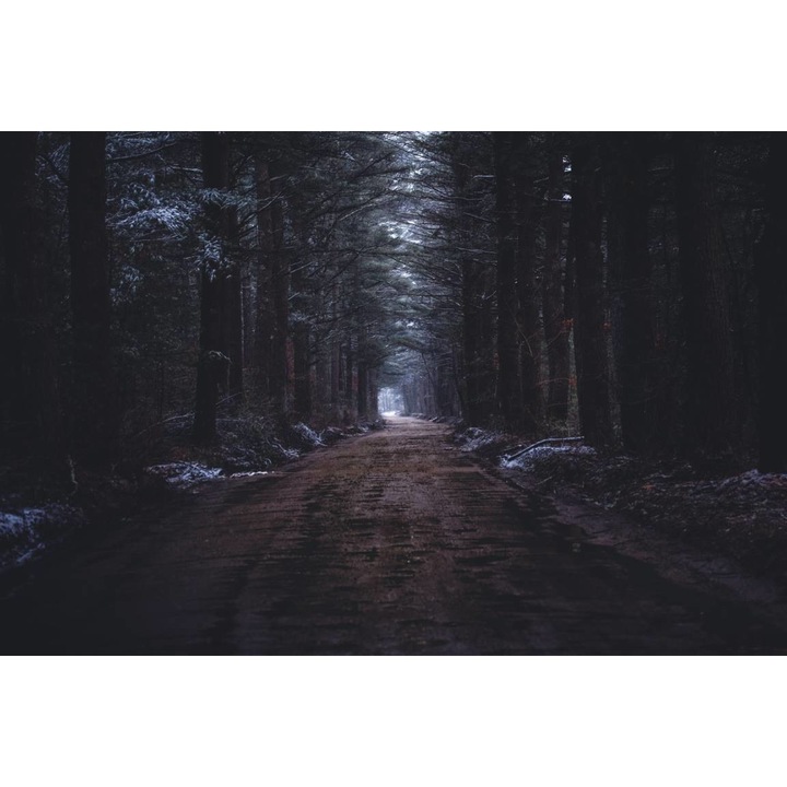 Öntapadó PVC tapéta - The Dark Road Through the Forest, 100 x 150 cm