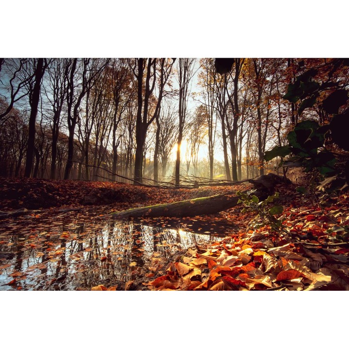 PVC öntapadó tapéta - Levélekkel és fákkal körülvett tó, 100 x 150 cm