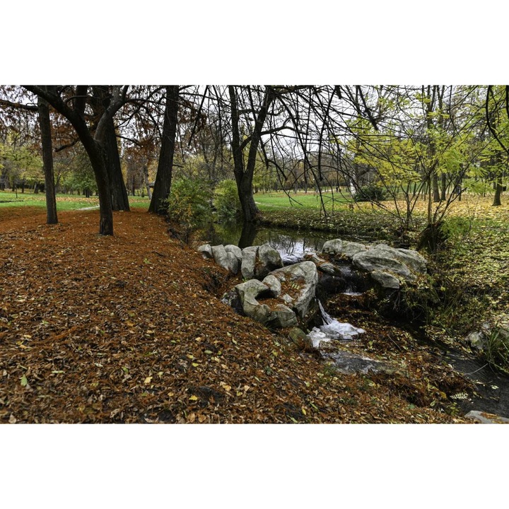 Öntapadó PVC tapéta - Rain Between Trees In The Park, 100 x 150 cm