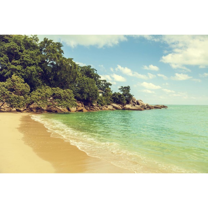 Öntapadó PVC tapéta - The Beach And The Forest From the Tropical Paradise, 100 x 150 cm