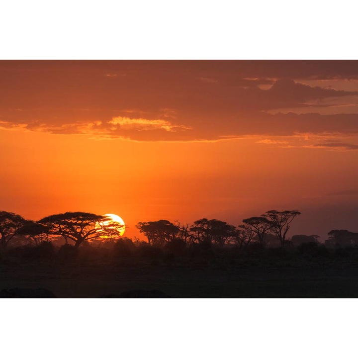 Öntapadó PVC tapéta - Sunrise Orange Story, 100 x 150 cm