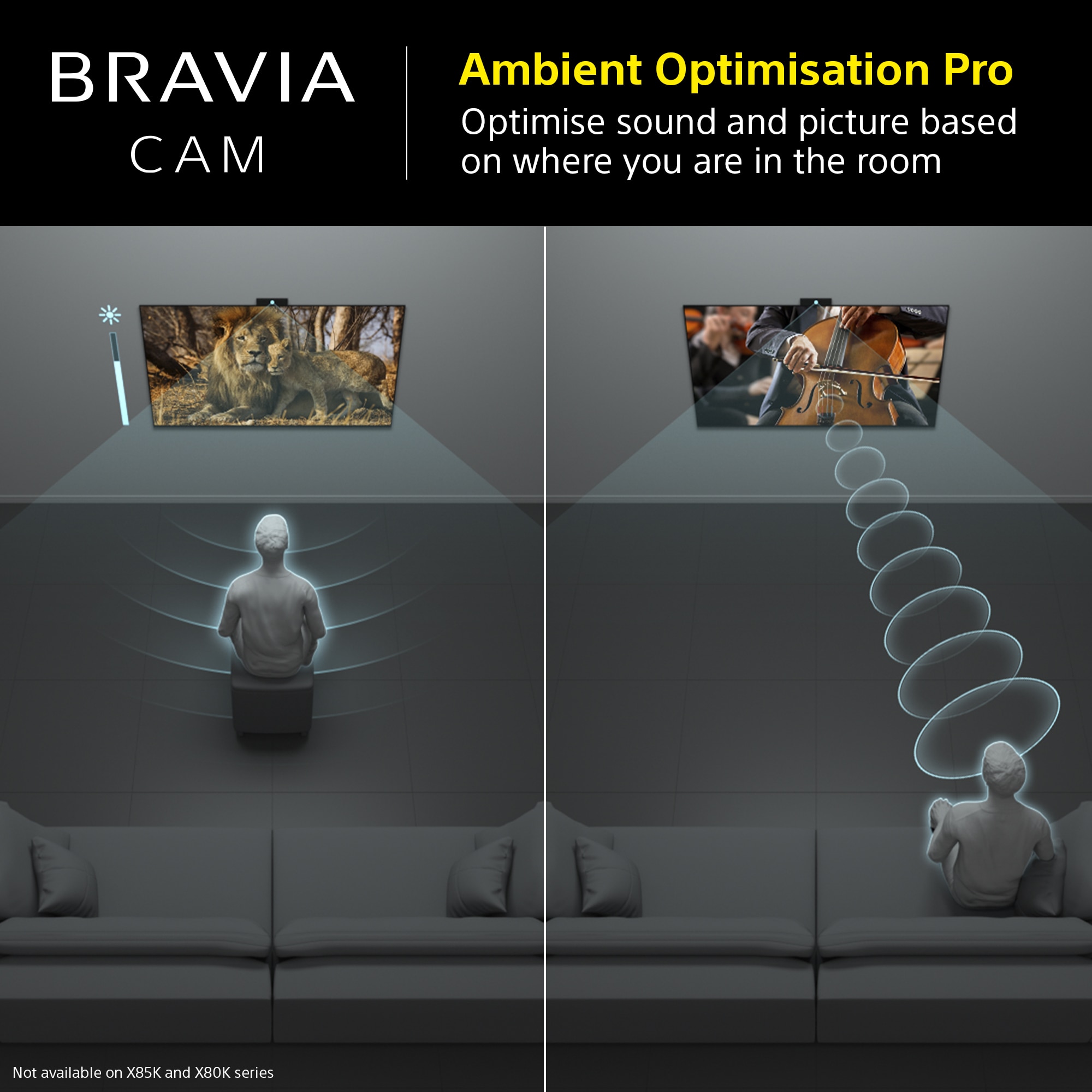 Camera TV Sony Bravia Cam CMU-BC1, Full HD, Microfon x 2, USB 2.0