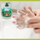 Течен сапун Palmolive Tropical Forest, За всеки тип кожа, 300 мл