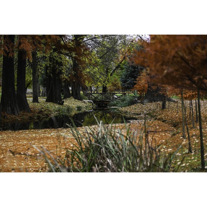 PVC öntapadó tapéta - Őszi táj a Romanescu parkban, 100 x 150 cm