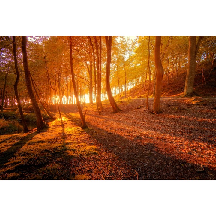 Öntapadó PVC tapéta - Autumn Scenery, 100 x 150 cm