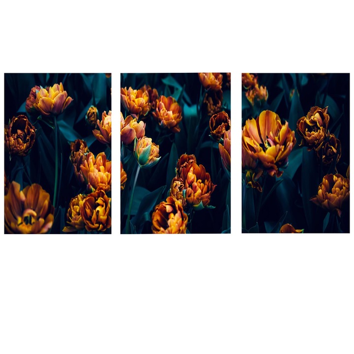 Arthub, 3 Részes Vászonkép, Golden Flowers, 50x90cm
