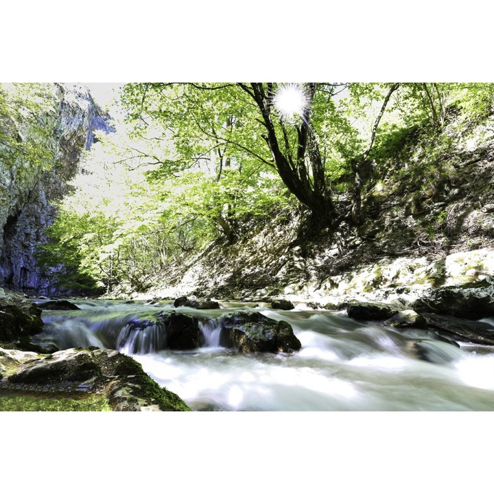 Öntapadó PVC tapéta - A Nap a fák között Parau mellett, 100 x 150 cm