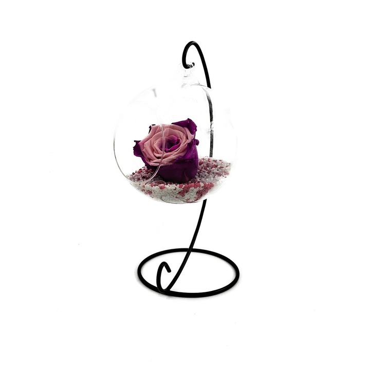 Trandafir Criogenat bicolor fucsia-roz, pe pat de pietricele, in bol de sticla cu bula, pe picior metalic