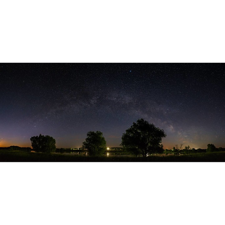 Tablou Canvas - Calea Lactee Deasupra Pomilor, 50x35 cm