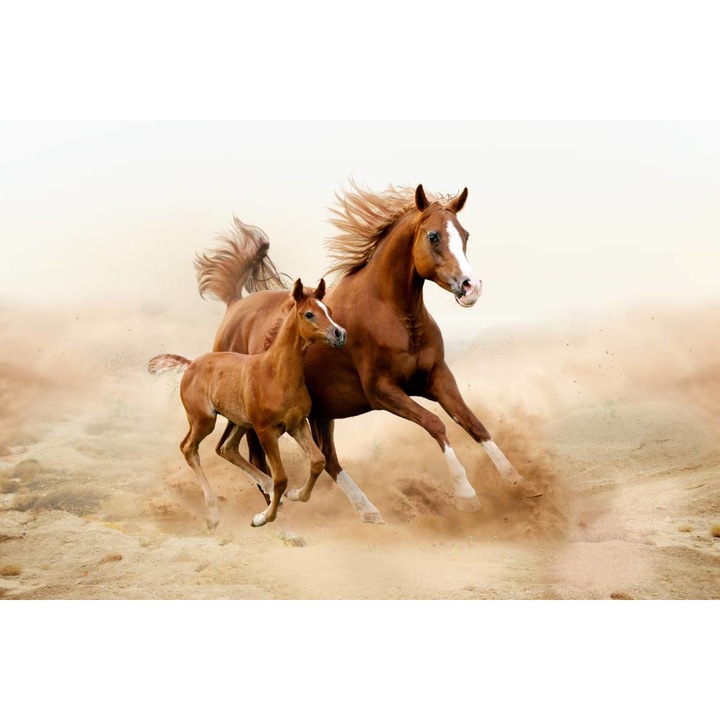 Öntapadó PVC tapéta - The Horse and the Foal, 100 x 150 cm