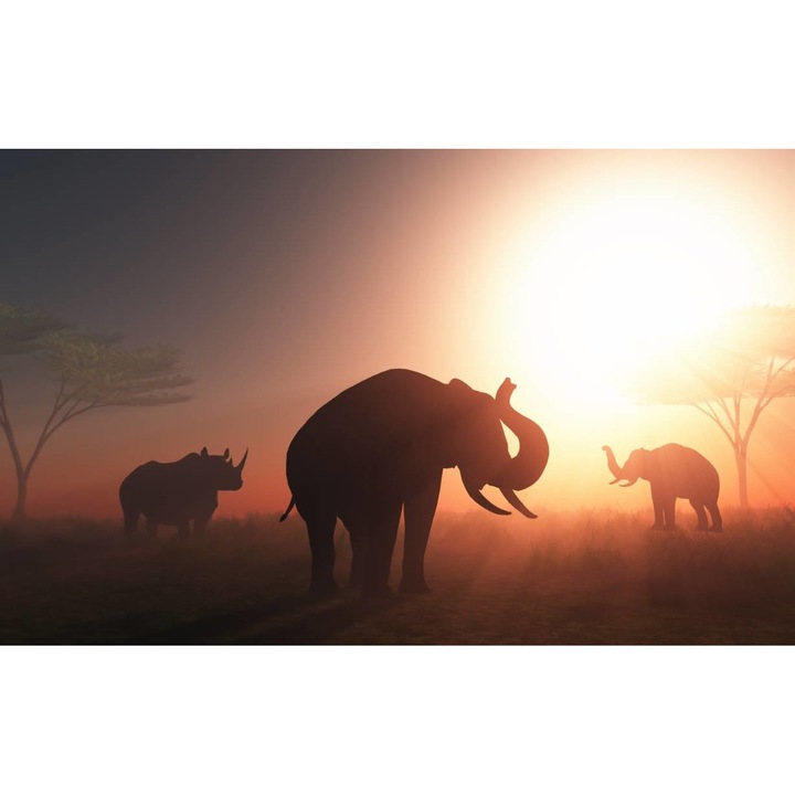 PVC öntapadós tapéta - Elephants at Sunset, 100 x 150 cm