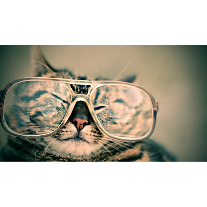 PVC öntapadós tapéta - Retro Cat, 100 x 150 cm