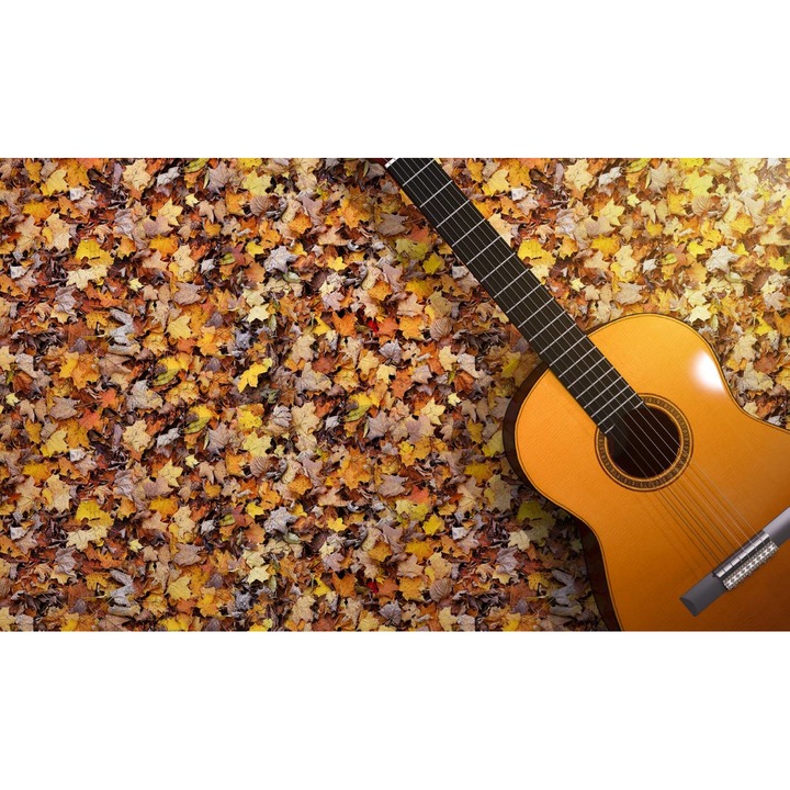 PVC öntapadó tapéta - Levelek és Gitár, 100 x 150 cm
