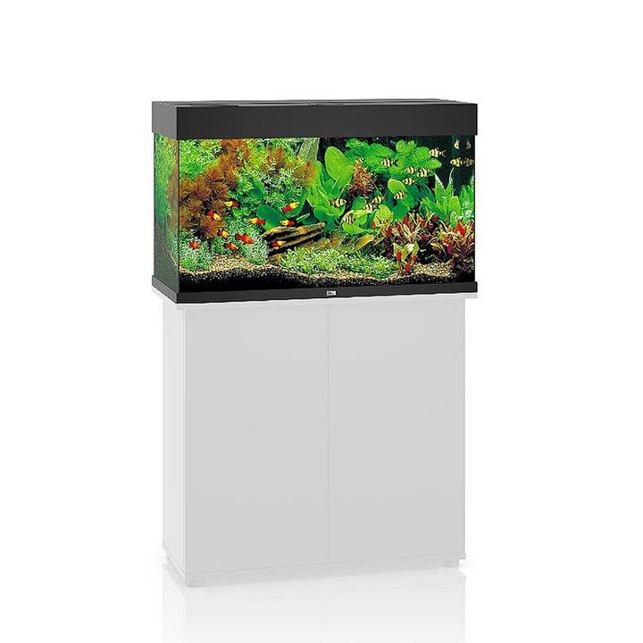 Acvariu, Juwel, 125 L, 81x36x50 cm