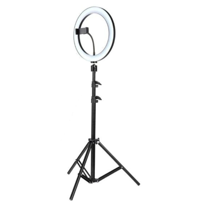 HYT kör alakú lámpa, átmérő 20 cm/8 hüvelyk, LED, állvány 210 cm, 3 fénymód, 10 beállítási fokozat, fehér szín