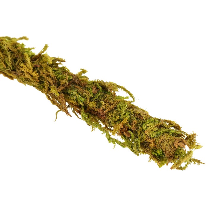 Liana cu muschi natural pentru terariu Repti-Zoo, 1.5 x 200 cm, Verde