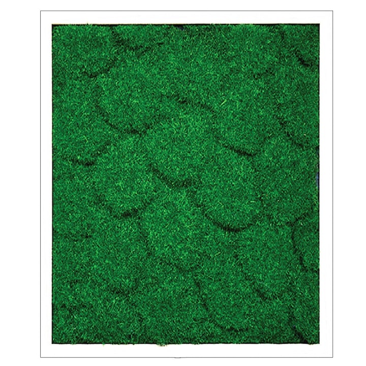 Tablou muschi artificial Garden Point, Personalizabil, Cu rama, 60 x 80 cm, Verde / Alb