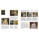 Art in Detail - 100 Masterpieces - Susie Hodge